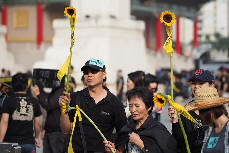 向日葵是這次佔領立法院行動的象徵，並以此命名為「太陽花學運」。othree,  via Wikimedia Commons