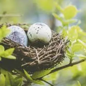 EggQueen 小蛋皇后的沙龍