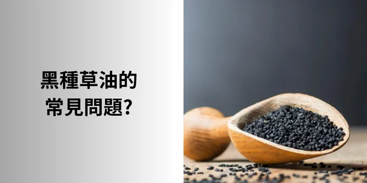 黑種草油常見問題