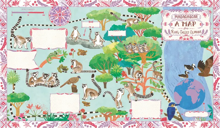 環尾狐猴的尾巴圈數都經過仔細確認