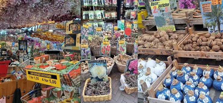 花市 賣各式種子 ..紀念品也很多...已是觀光客朝聖地