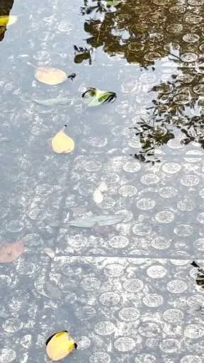 人類可以再生很多東西,包括希望!!