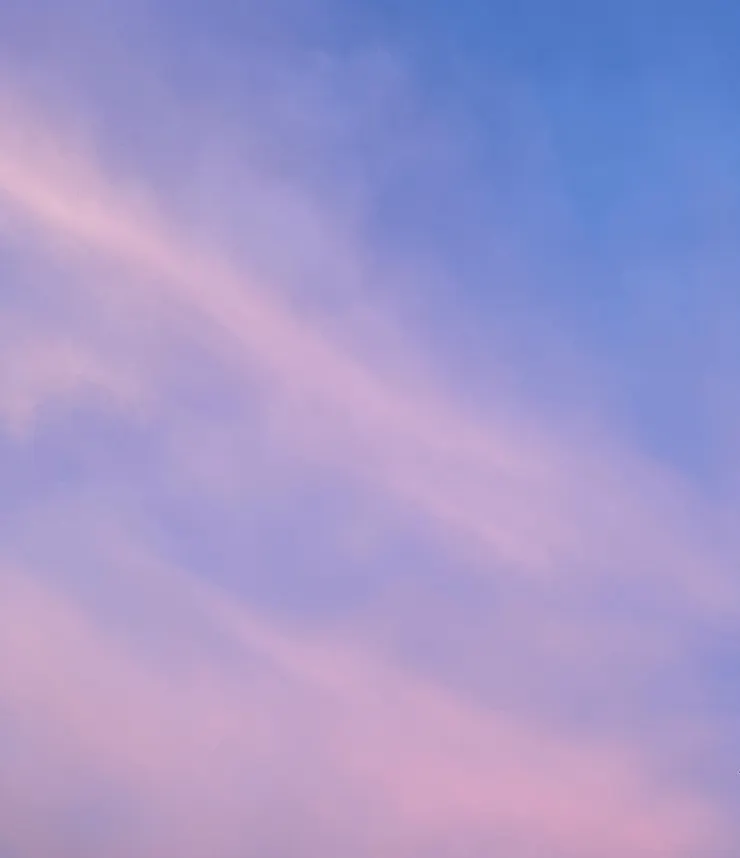 不經意地，拍下粉紅色的天空—台北·內湖