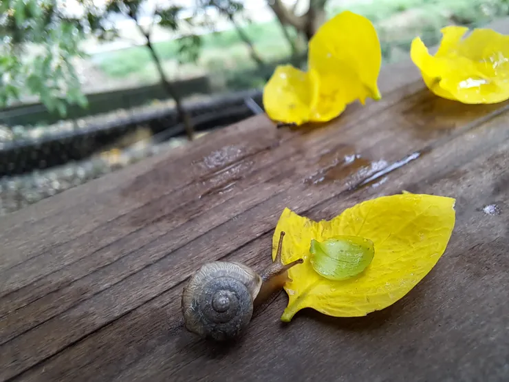 無不無聊，取決於心境