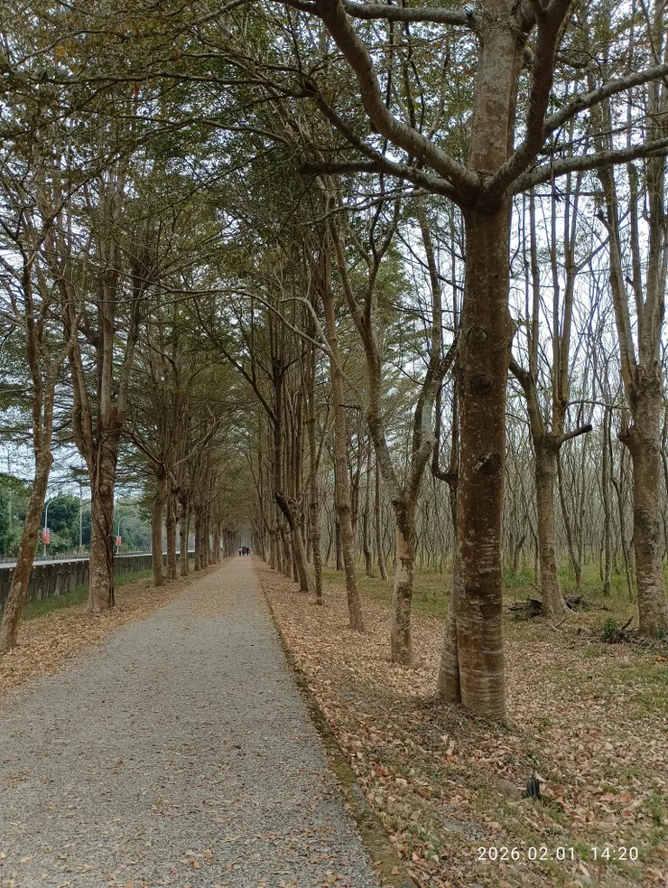 茫然忘卻徑徘徊