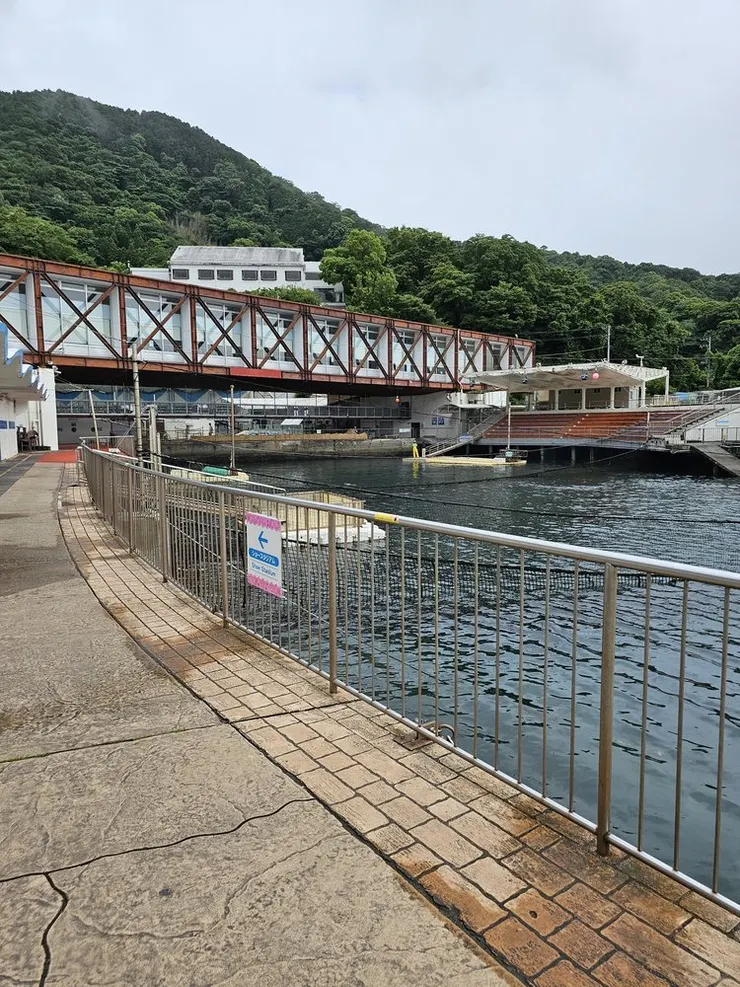 戶外的海豚飼養池