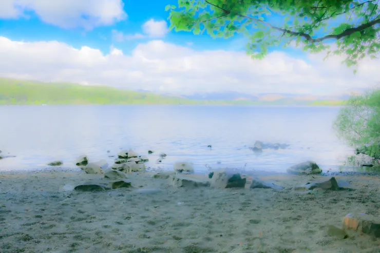 公園中的溫德米爾湖畔一景