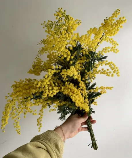 圖片來源：Pinterest