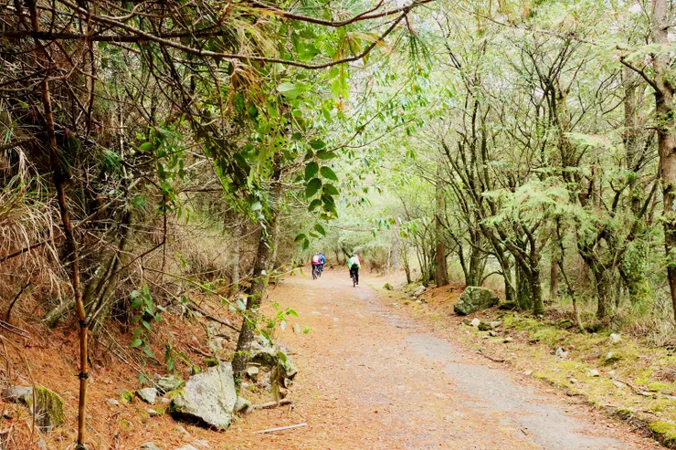 ▲一開始緩下坡，步道為石子路面，頗為顛簸。
