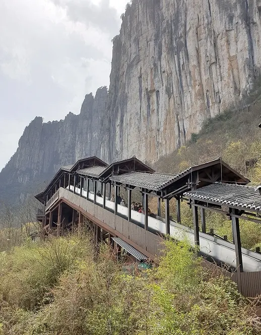 還好回程可乘坐15分鐘的電扶梯下山