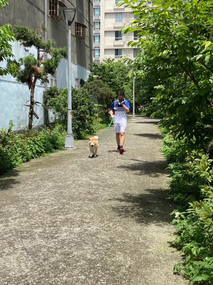 這些畸零地，都是萬盛溪流域