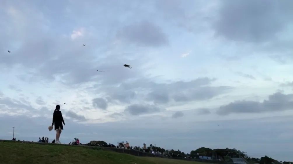 靜態視角—人類觀察日記