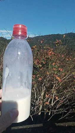 [新北美食]坪林豆腐老店、坪林老街小吃，兩家店家彼此連結、但