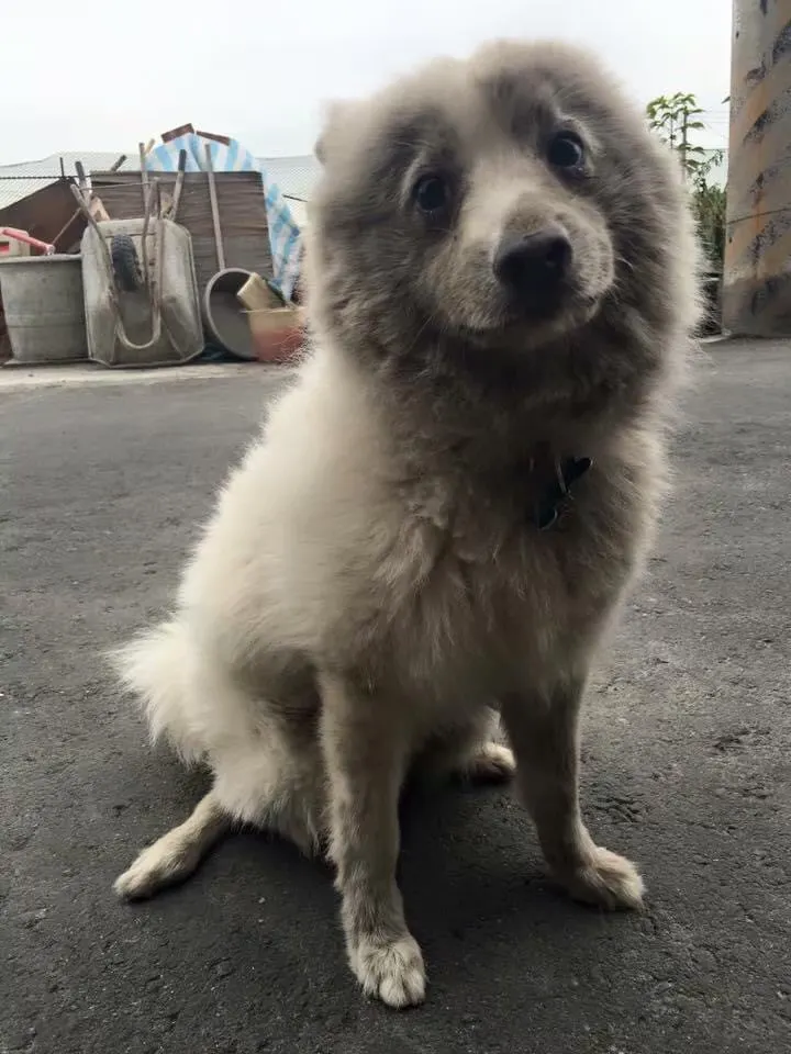 我這麼可愛，請原諒我