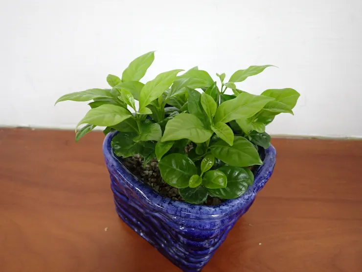 士林社大114.07.07