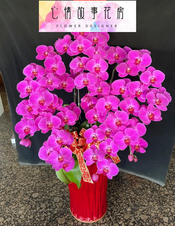 台南最推薦花店|心情故事花房陪您迎接蛇年,蘭花盆栽添喜氣,公家機關、銀行、醫院一致首選!