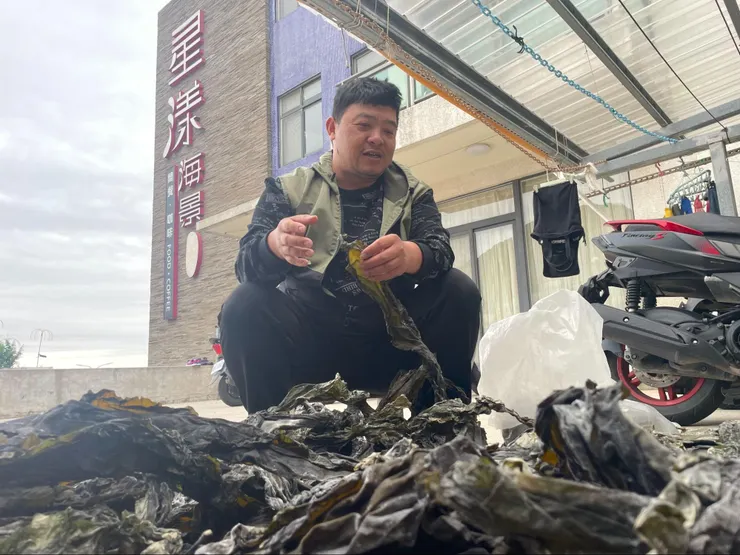 曬乾後的昆布，會鋪灑在自家民宿前剪裁處理。（王家凌/照片提供）