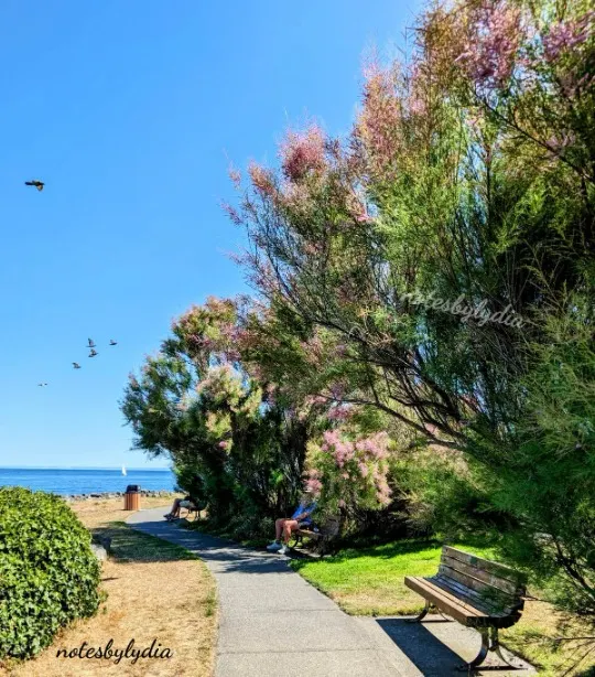 vancouver island 的一隅