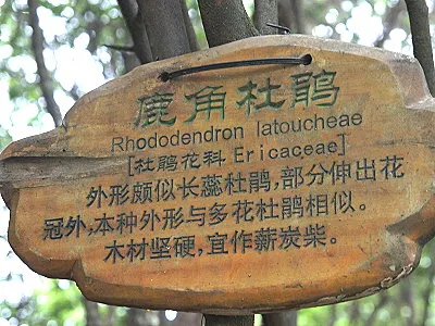 src
