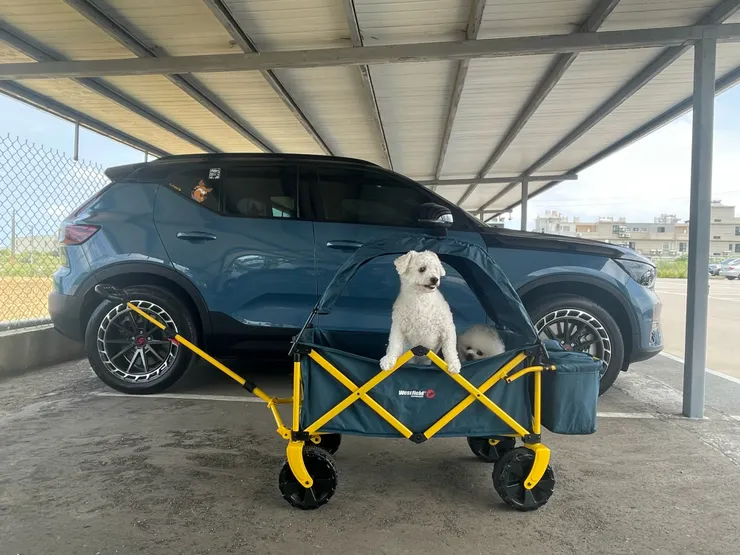 電動車＆寵物專車