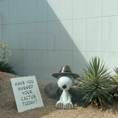 Jo｜生而為人，Jo很抱歉