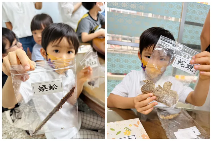 每一個小孩都可以成為幾分鐘的中藥富翁