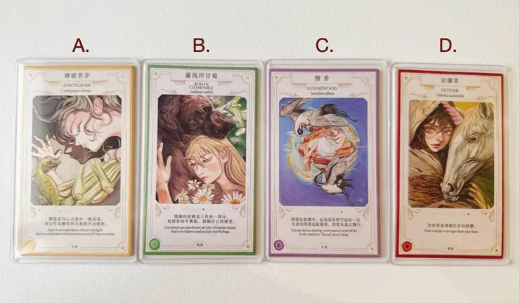 看圖選｜哪一張圖最吸引你？