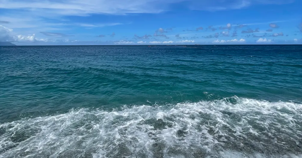 療心旅人的沙龍