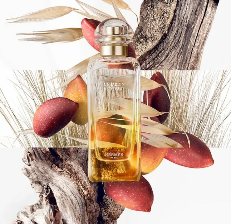 希瑟花園香材圖，充滿自然風素材。 (圖片來源 : 官網)