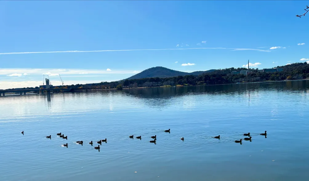 我在澳洲的生活与文化融合🇦🇺🦘