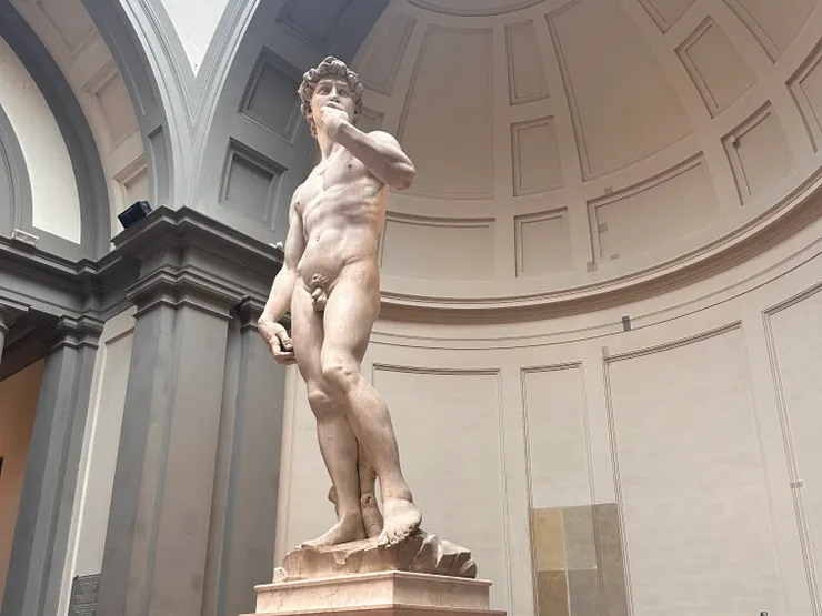 大衛的眼神是對準著他正要面對的敵人