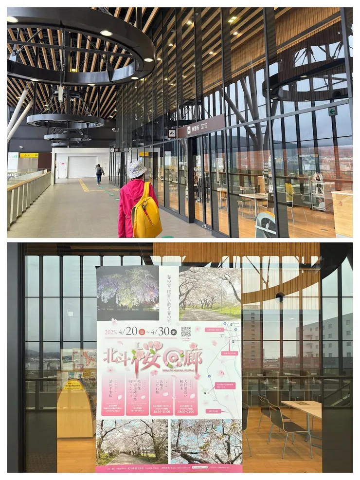 北斗函館車站「北斗櫻之迴廊」海報，等會兒搭巴士去瞧瞧。