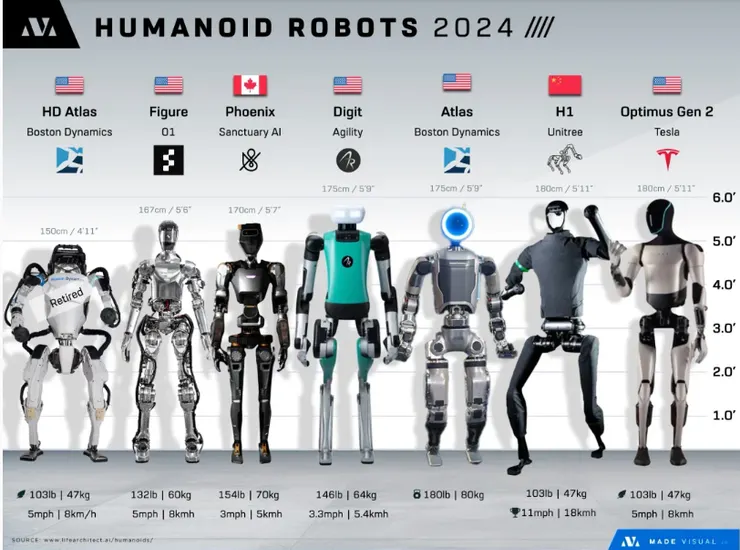 資料來源：Voronoi