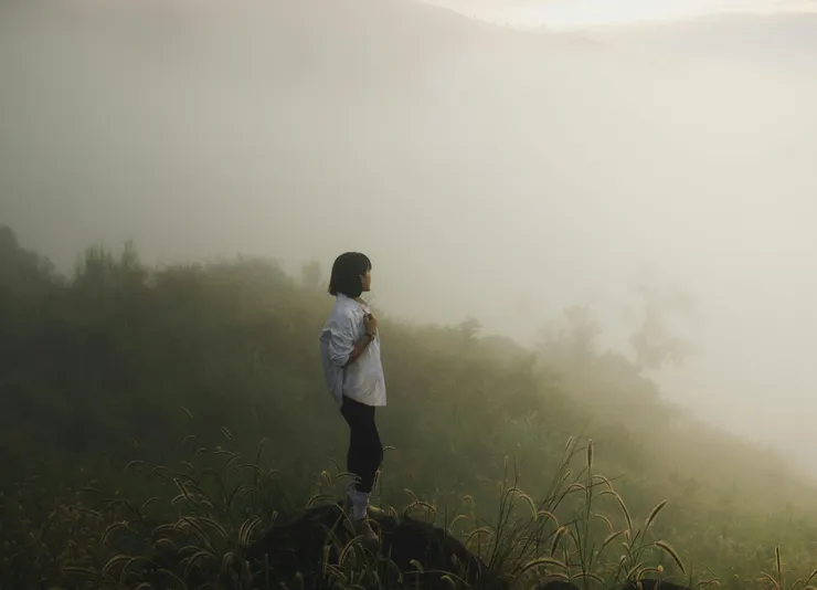 Pexels 上由 Thái Trường Giang 拍攝的相片