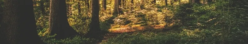 情緒導護師Julie的沙龍