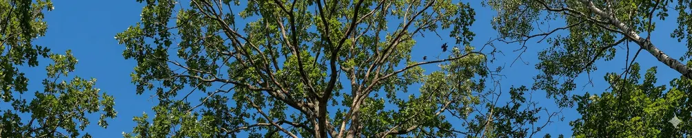 在書與生活之間