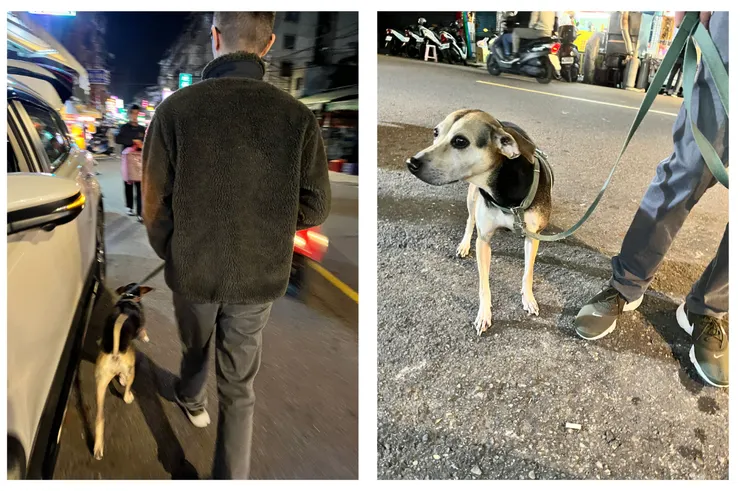 晚上秋口帶出去探索菜市場兼夜市