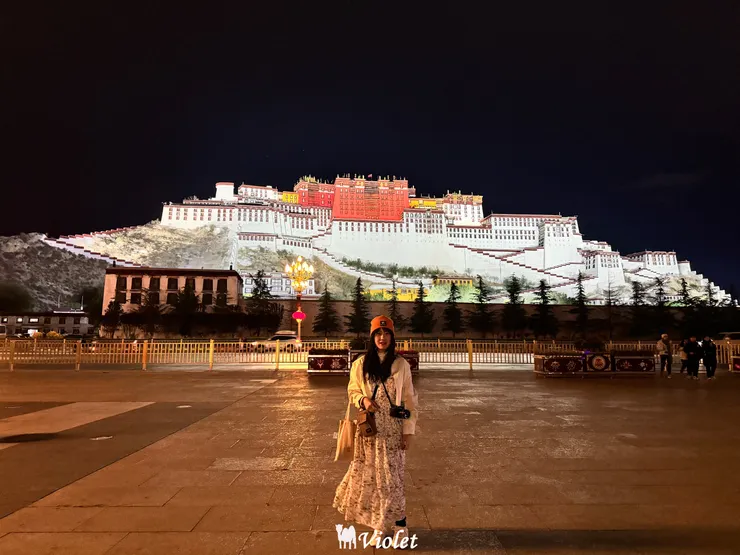 布達拉宮夜景