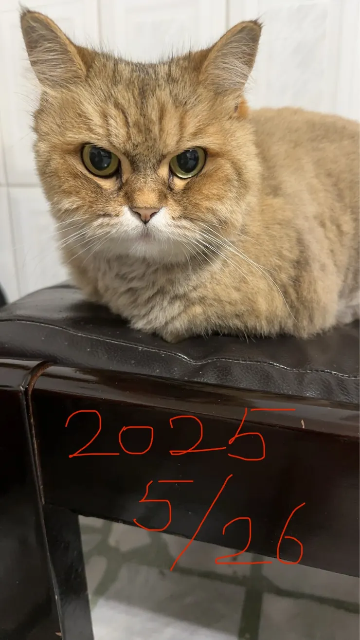 媽媽拍攝於 2025/5/26