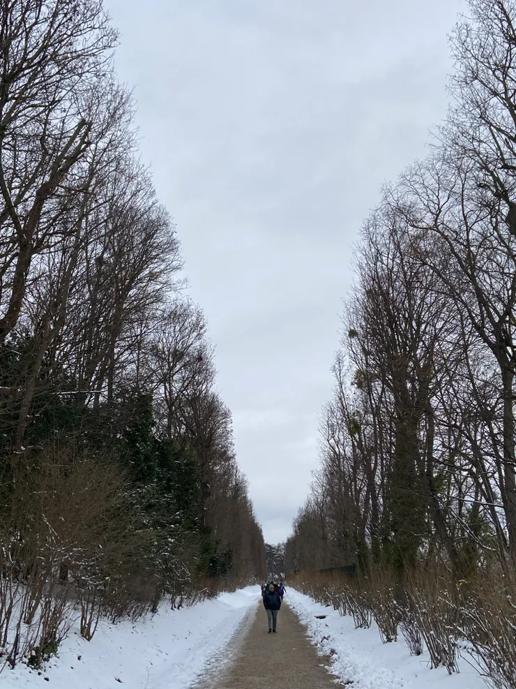 旁邊有一些小路，拍起來特別有感覺，就隨手紀錄了