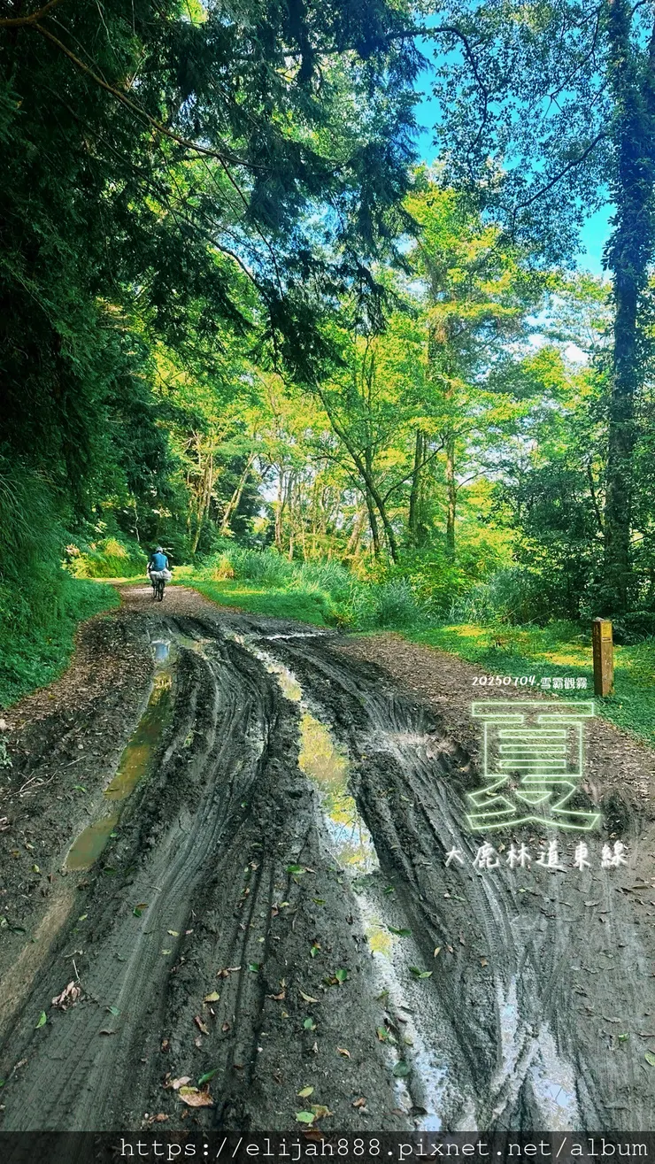 【大霸群峰4百岳。兩天一夜】觀霧大鹿林道東線騎越野單車/馬達