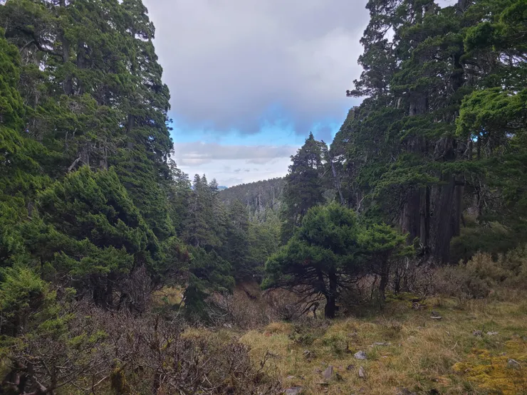 天氣又看起來快下雨的樣子，但無妨。此次行程的目的都達成了，圓滿