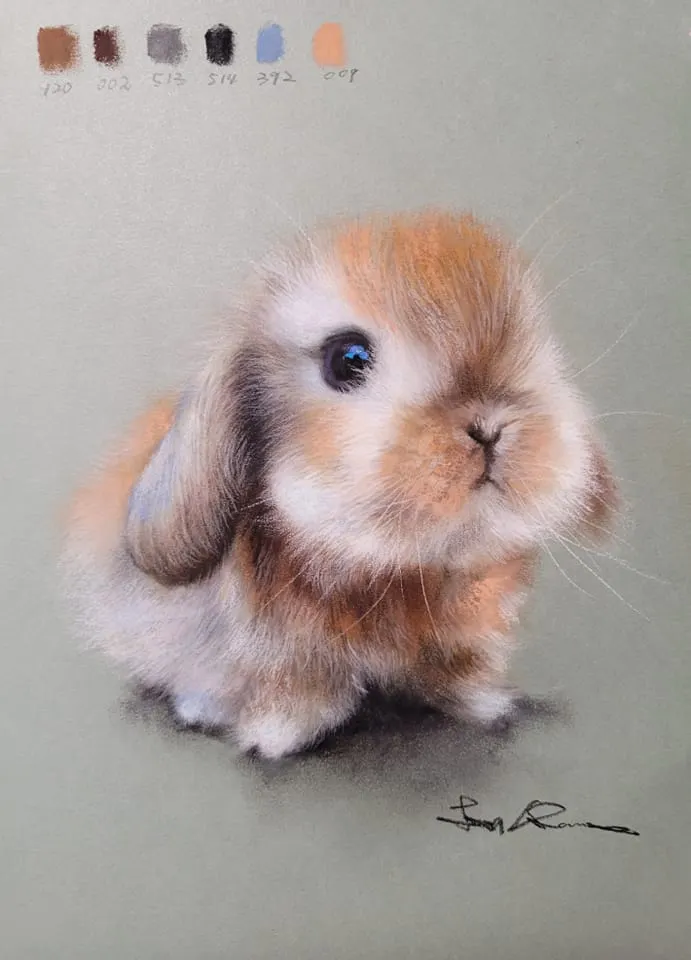 QQ兔 (媒材 : 粉彩)