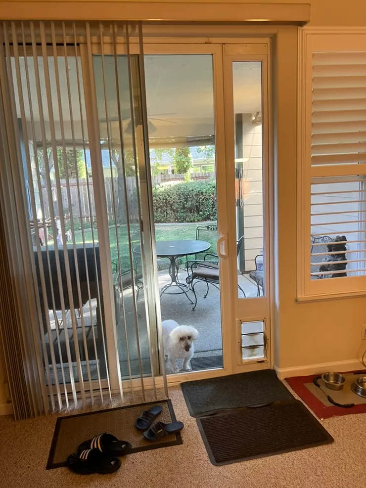 Benny站外面等我們來開門。兩隻大眼睛往內瞧，癡癡地等，很難不去幫他開門。V還會自我安慰說，這樣子我們從椅子不斷站起來，也是訓練腰力吧？