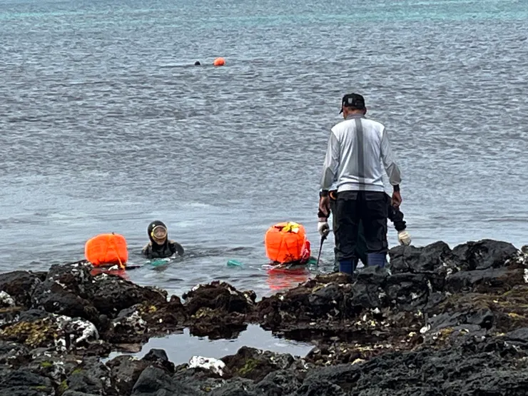 滿網和空網交接