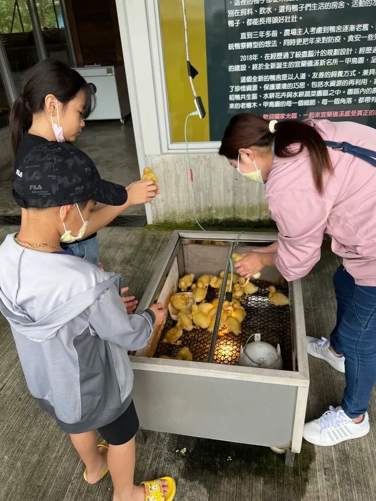 小鴨體驗區