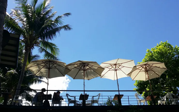 在椰林環繞下，洋溢南洋渡假風情