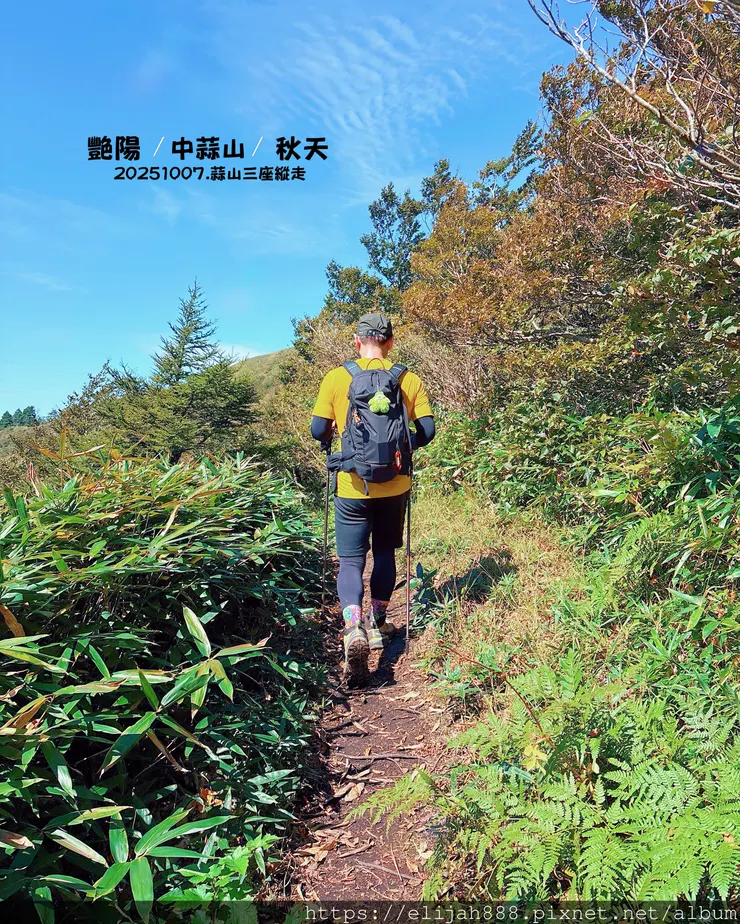 【2025初秋.岡山県真庭市】蒜山三座縱走/下蒜山(海拔11