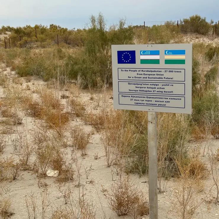 歐盟有一些綠色植栽的計畫