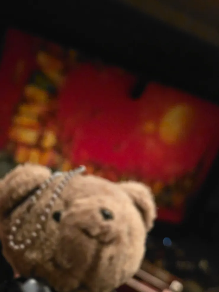 用熊熊來顯示我的視角。